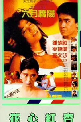 日韩精选视频