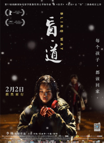 奥斯的大婶